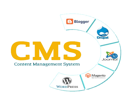 معرفی انواع سیستم مدیریت محتوا CMS
